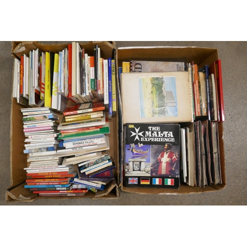 1131 - Two boxes of foreign travel books and guides **PLEASE NOTE THIS LOT IS NOT ELIGIBLE FOR POSTING AND ... 