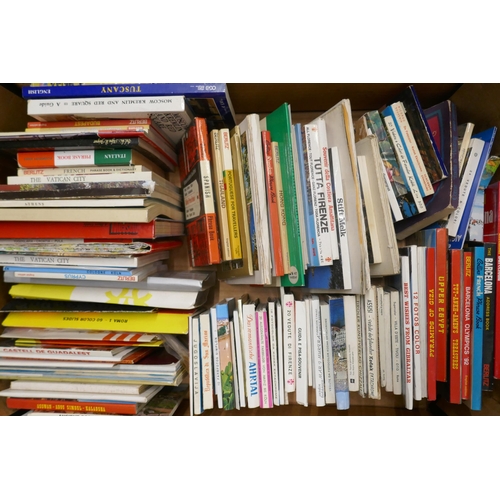 1131 - Two boxes of foreign travel books and guides **PLEASE NOTE THIS LOT IS NOT ELIGIBLE FOR POSTING AND ... 