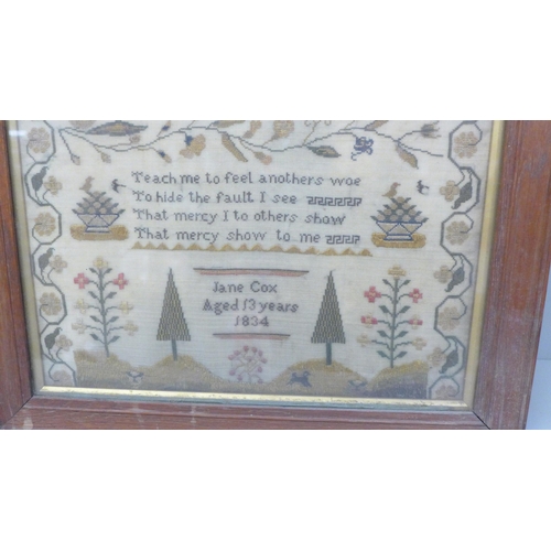 601 - A William IV sampler, worked by Jane Cox, aged 13 and dated 1834, framed