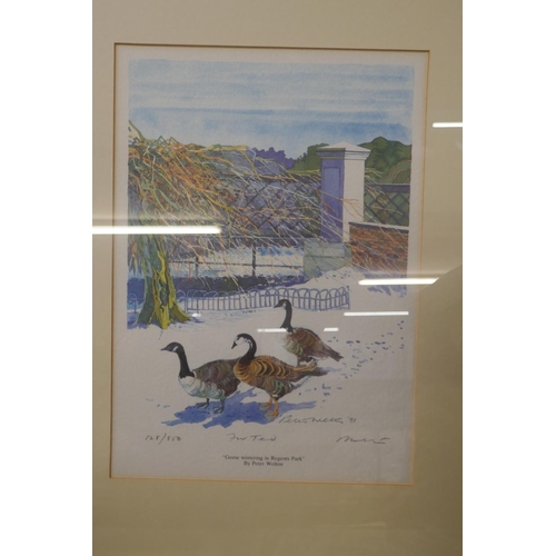 1055 - Two Peter Welton limited edition prints, signed (same scene), both 'Geese Wintering in Regents Park'... 