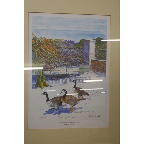 1055 - Two Peter Welton limited edition prints, signed (same scene), both 'Geese Wintering in Regents Park'... 