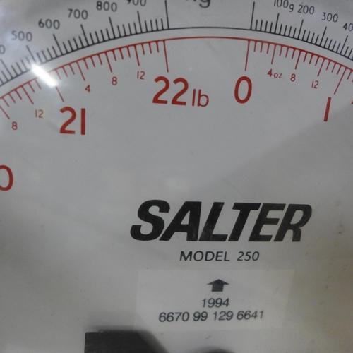 2096 - A Salter weighing scale - model 250 - to measure up to 10kg/22lb