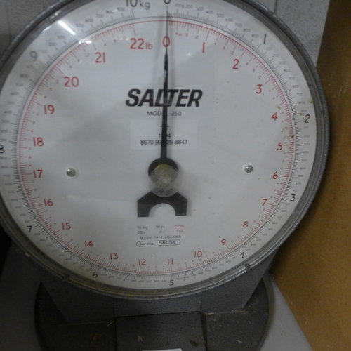 2096 - A Salter weighing scale - model 250 - to measure up to 10kg/22lb