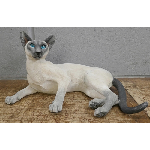 1135 - A model of a Siamese cat