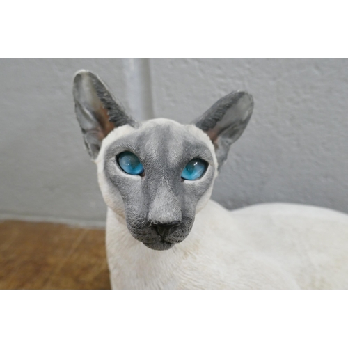 1135 - A model of a Siamese cat