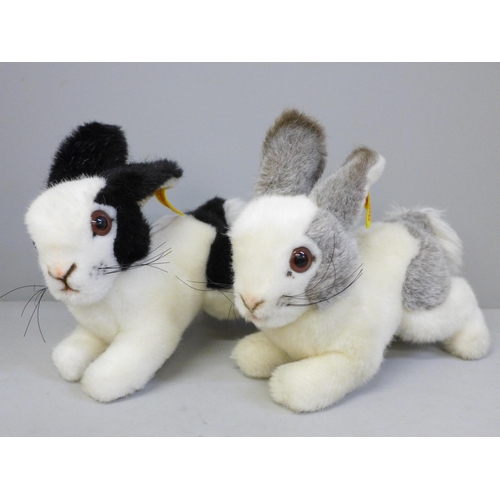 613B - A Steiff baby grey and white rabbit and baby black and white rabbit, buttons to ears