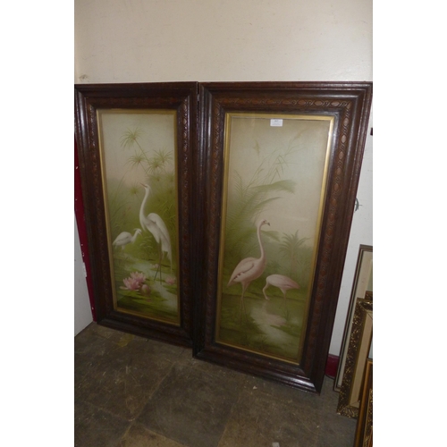 357 - A pair of early 20th Century prints of flamingos, framed