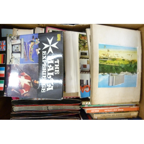 1140 - Two boxes of foreign travel books and guides **PLEASE NOTE THIS LOT IS NOT ELIGIBLE FOR POSTING AND ... 