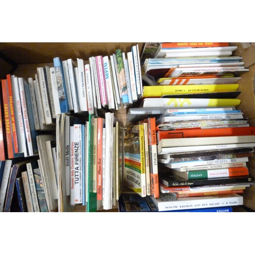 1140 - Two boxes of foreign travel books and guides **PLEASE NOTE THIS LOT IS NOT ELIGIBLE FOR POSTING AND ... 