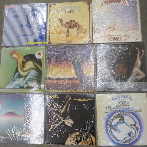 703 - Nine LP records, all Camel