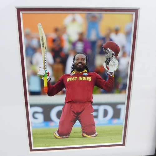 760 - A presentation framed mounted cricket bat, signed by West Indies legend Chris Gayle