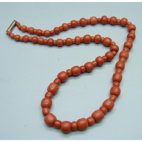 986 - A coral necklace, 38g, 48cm