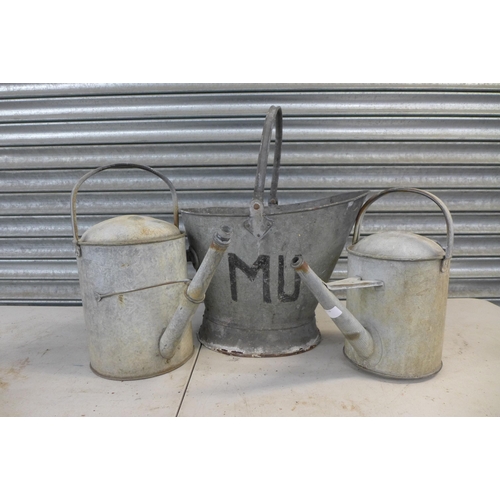 2252 - Two galvanised steel watering cans, a galvanised coal scuttle and a small cast iron bird bath