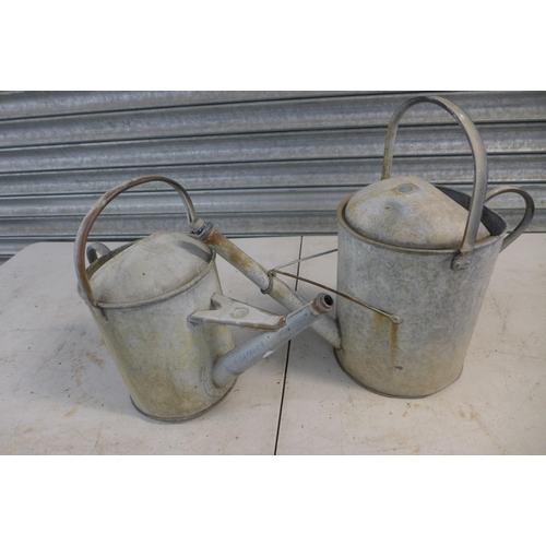 2252 - Two galvanised steel watering cans, a galvanised coal scuttle and a small cast iron bird bath