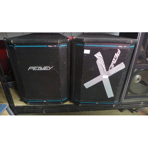 2139 - A pair of large Peavey BW equipped H1SYS 1XT XT series speakers