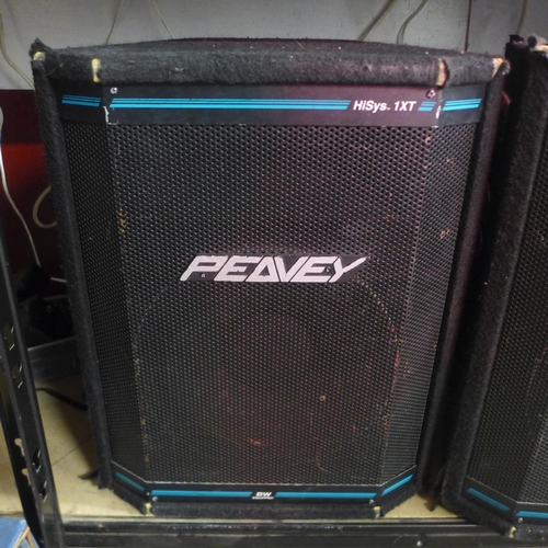 2139 - A pair of large Peavey BW equipped H1SYS 1XT XT series speakers