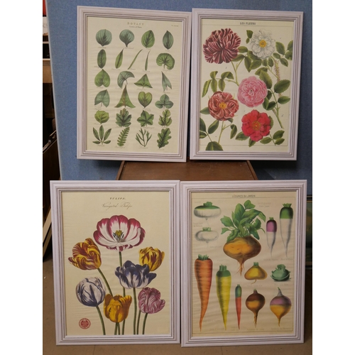 320B - A set of four horticultural prints, framed