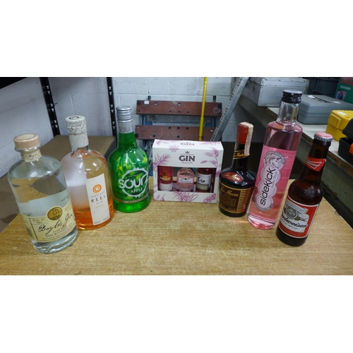 2074 - 5 Assorted bottles of spirits; 70cl Boyles small batch Gin, 70cl Shetland Reel Gin, 70cl Apple Sours... 