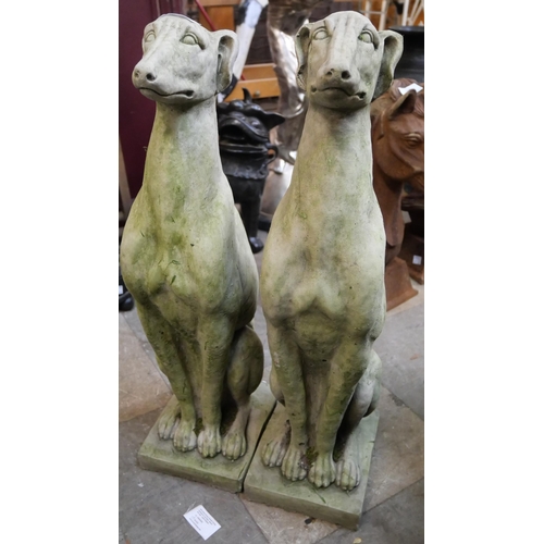 282 - A pair of concrete garden figures of seated greyhounds