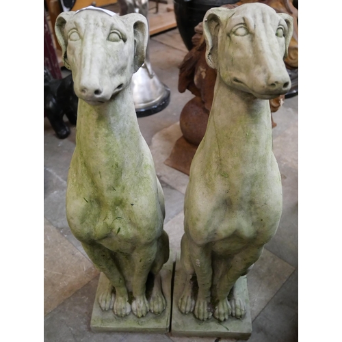 282 - A pair of concrete garden figures of seated greyhounds