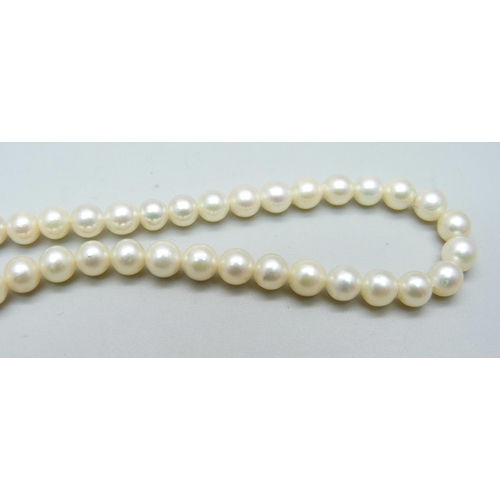 1012 - A pearl necklace with a 9ct gold clasp, 37cm