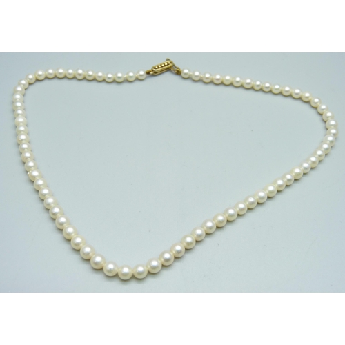 1012 - A pearl necklace with a 9ct gold clasp, 37cm