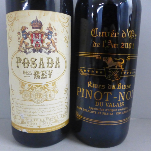 791 - Two magnum bottles of red wine, Rives du Bisse Pinot-Noir and Posada del-Rey