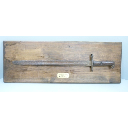 812 - A bayonet, mounted on a wooden plaque, marked 'found Meuse Argonne Sector France'