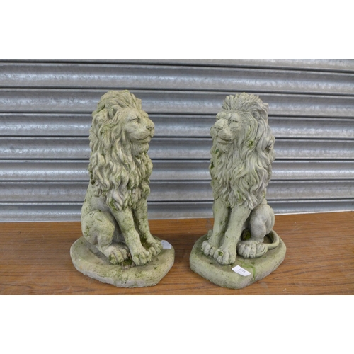 2218 - A pair of concrete garden lion ornaments, approx. 17