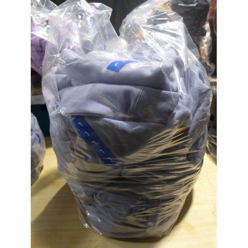 3172 - Quantity of men's baby blue Champion hoodies  - mixed sizes   * This lot is subject to vat