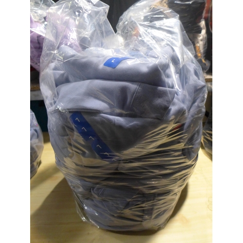 3173 - Quantity of men's baby blue Champion hoodies  - mixed sizes   * This lot is subject to vat