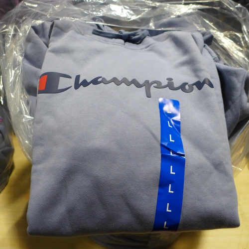 3173 - Quantity of men's baby blue Champion hoodies  - mixed sizes   * This lot is subject to vat