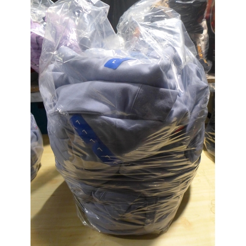 3174 - Quantity of men's baby blue Champion hoodies  - mixed sizes   * This lot is subject to vat