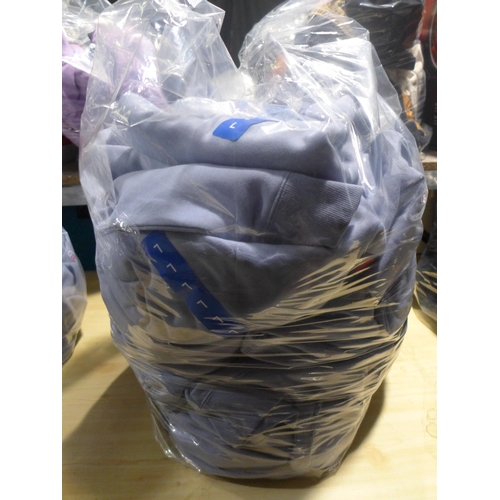 3175 - Quantity of men's baby blue Champion hoodies  - mixed sizes   * This lot is subject to vat