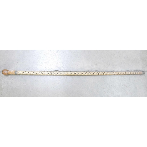 779 - A shark's vertebrae walking stick