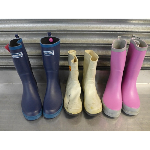 2334 - Six pairs of Wellington boots; three pairs of Antistatic white and yellow size 6, recatta high top b... 