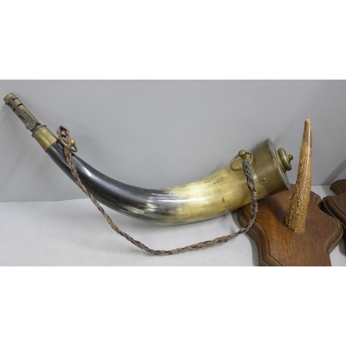 1172 - A pair of mounted stag horns, a horn powder flask and a fly swat