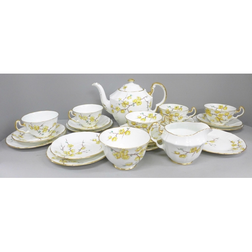 703A - An Adderley fine bone china Chinese Blossom part tea set, five cups, seven saucers and tea plates, c... 