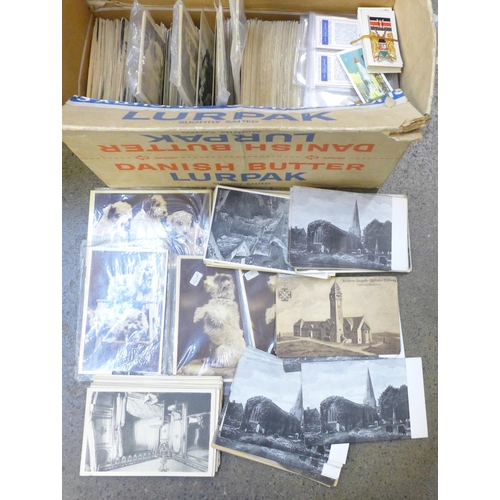 727 - A collection of vintage postcards including continental, animals, churches, castles, etc., and a col... 