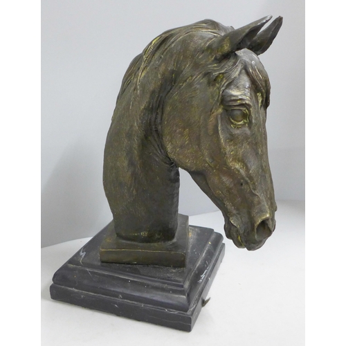 785 - A mounted bronze horse's head, 30cm