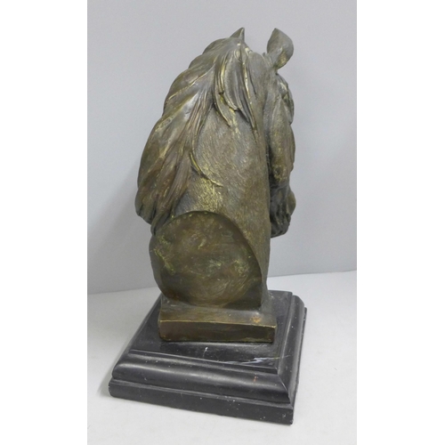 785 - A mounted bronze horse's head, 30cm