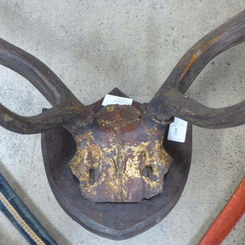 798 - A set of mounted antlers and two Indian swords