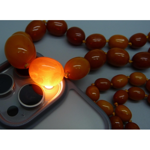 976 - A set of butterscotch amber beads, 62.5g, (largest bead a/f)