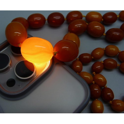 976 - A set of butterscotch amber beads, 62.5g, (largest bead a/f)