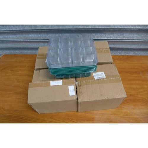 2341 - A collection of seed trays and propagators, four boxes and six other plastic tubs