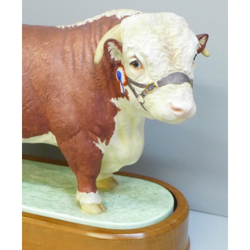 611 - A Royal Worcester figure of a Hereford Bull, 0383H backstamp, on a wooden stand