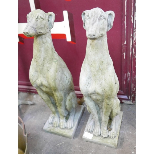 A pair of concrete garden figures of seated greyhounds