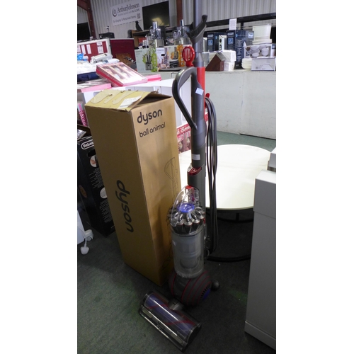 3369 - Dyson Animal Upright Ball Vacuum Cleaner, original RRP £224.99 + VAT *Item is subject to VAT(319-155... 