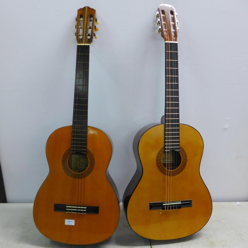 Two acoustic guitars; a Suzuki no. 1663 and a Hohner MC06 (requires strings)