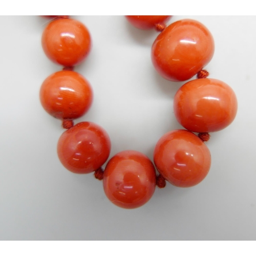 1129 - A vintage coral knotted necklace with 9ct gold safety chain, 40.7g